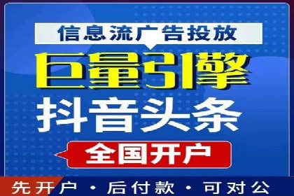 大型SEM服务公司案例分析